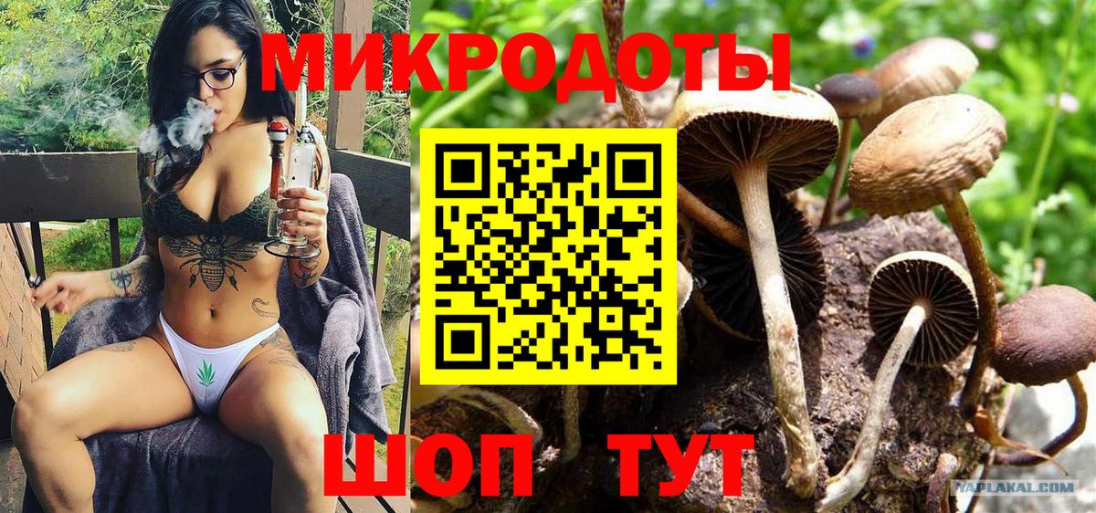 Галлюциногенные грибы Magic Shrooms  Галлюциногенные грибы Psilocybe  Новокубанск  Вход с VPN 